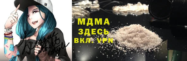 гашик Вяземский
