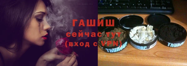 гашик Вяземский