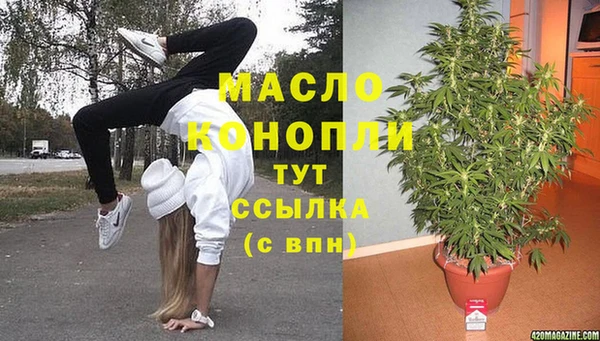гашик Вяземский