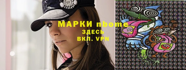 гашик Вяземский