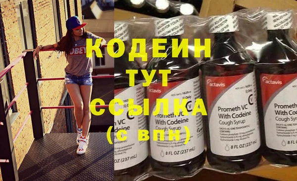 гашик Вяземский