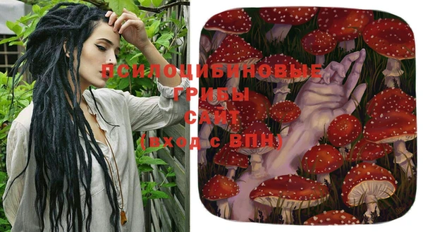 гашик Вяземский