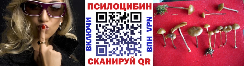 Купить где  Кропоткин  Галлюциногенные грибы мухоморы 